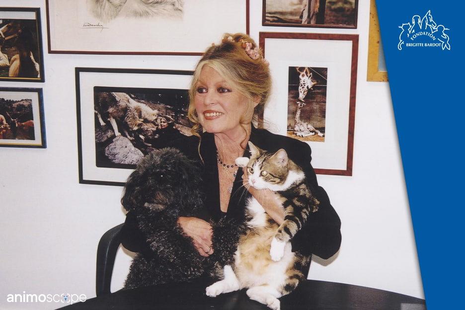 Partenaire De La Fondation Brigitte Bardot